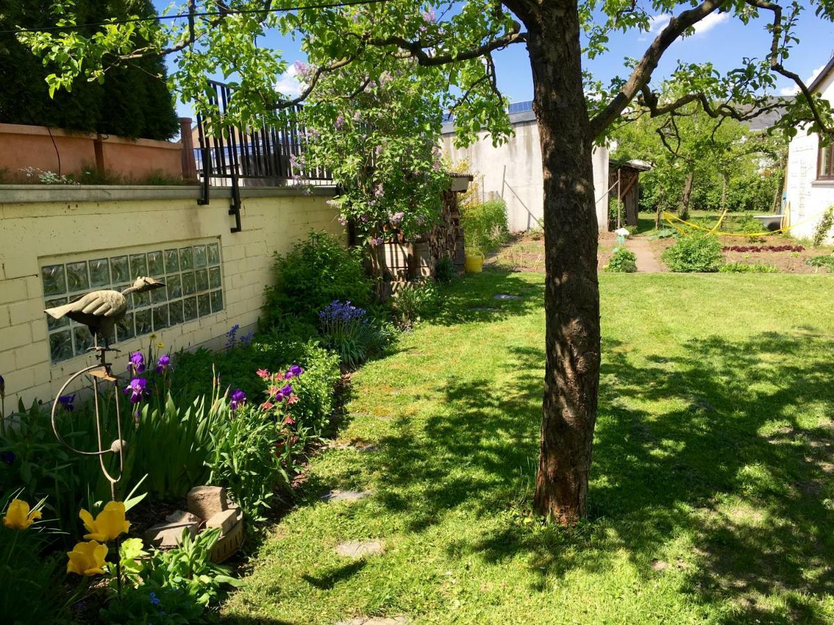 Gaestehaus Hoffmann Farschweiler Εξωτερικό φωτογραφία